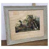 John James Audubonï¿½s "Mallard Duck" Print
