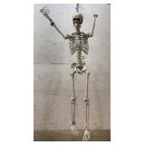 Life Size Skeleton