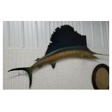 Marlin fish mount    
Some damage