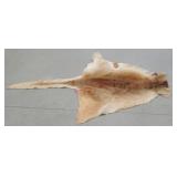 Hide - long tail and very soft