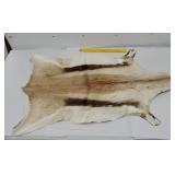 Animal hide beautiful condition