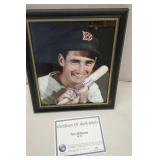 Picture of Ted Williams

NOTE: please use our