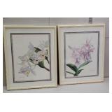 Pair of floral prints