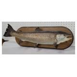 Fish on oak board