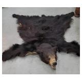 Black bear rug
