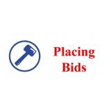 PLACING BIDS