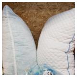 B/l 2pk Coop pillows w/extra stuffing