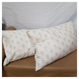 B/L 2-standard My pillows