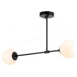 Xinbei lighting-2 globe light fixture