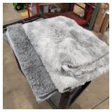 2) Rug Shagged lt. grey