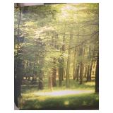 5 of the 6 Wall26 wall graphics