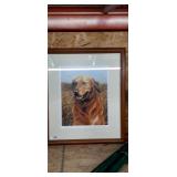 Golden Retirever Print 22x25"