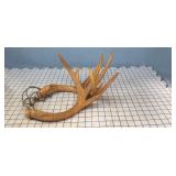 2pc "Rattlers" antlers