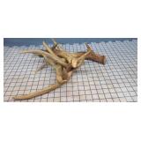 4pc Antlers