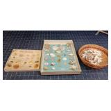 Byron A1E3 2 tray labeled shell collection Assorte