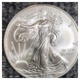 MC 2009 American Silver Eagle