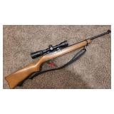 Ruger Rifle .22 LR Nikon