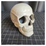 S2 - Decorative Human Skull Replica Ceramic or res