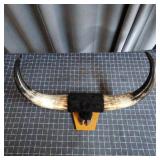 T1 - Mounted Longhorn Steer Horns on Woo Authentic