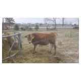 ONLINE: Steve Griwatsch retiring from farming (Swartz Creek)