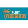 LIVE: Flint Firebirds Tropic Nights Jersey Auction