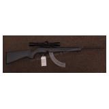 GUN: Remington 597 .22 semi, Remington scope