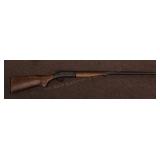 GUN: New England Firearm Pardner 20ga single