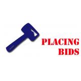 PLACING BIDS