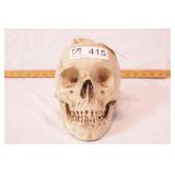 chalkware skull humidor