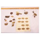 group of ford rogue & other badges