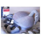 Canada Goose Decoys
