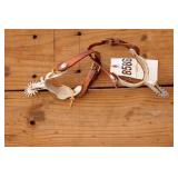 Pair of Aluminum Spurs