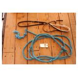 Lead Halter & Lunge Line