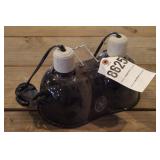 Dual Bulb Heat Lamp & Feed Scoop