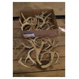 Box of Misc Antler "Sheds"