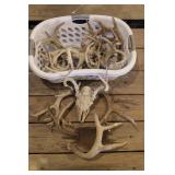 Laundry Basket of Misc Antler "Sheds"