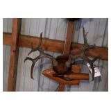 10 point Asymmetric Whitetail Deer Antler Mount