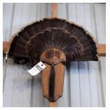 Turkey Tail & Beard on Plaque