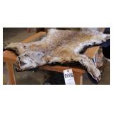 Bobcat Hide w/Felt Backer