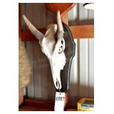 Skull Mount