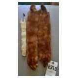 Group of Mink/Weasel/Ermine Hides