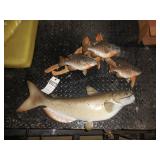 Bluegill Trio On Driftwood & Catfish Mounts
