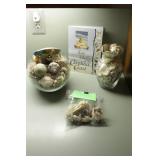 50 year collection of sea shells