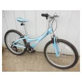 Trek Mountain Track 220 Youth Bicycle