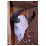 Bison skulll