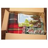 2 throws, blankets, pink fuzzy pillow & covers