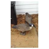 Pair of Life-size Goose Decoys