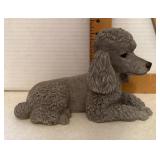 Sandicast poodle Sandicast poodle