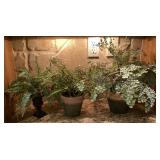 Home decor artificial plants