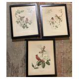 3 bird lithos by James Gordon Irving